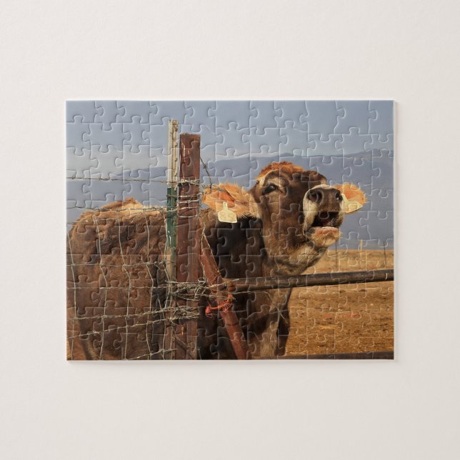 Puzzle Vache drôle (Horizontal)