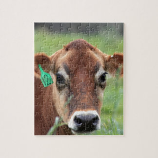 Puzzle Vache du Jersey
