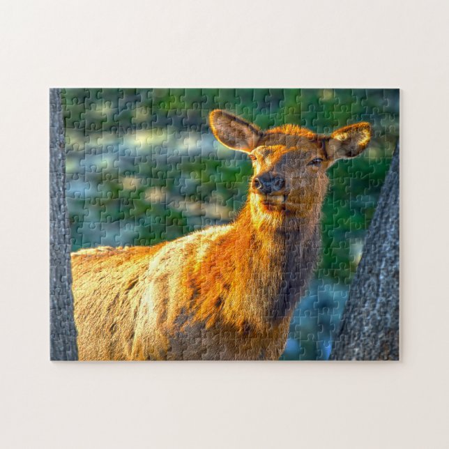Puzzle Vache Elk Montana. (Horizontal)