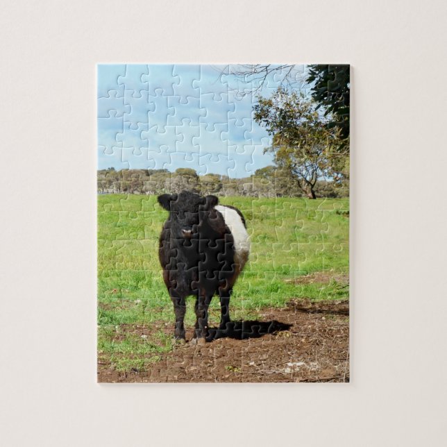 Puzzle Vache femelle ceinturée, (Vertical)
