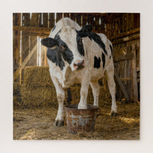 Puzzle Vache Holstein debout dans un seau rouillé