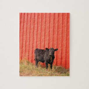 Puzzle Vache noire Grange rouge