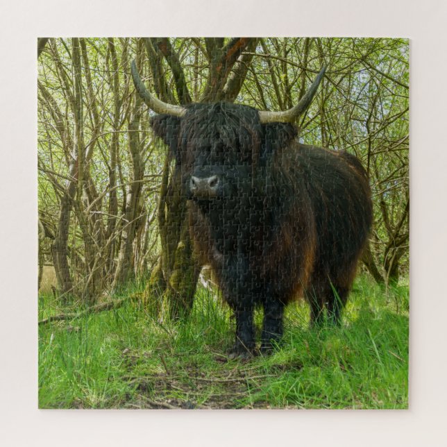 Puzzle Vache noire Highland (Vertical)