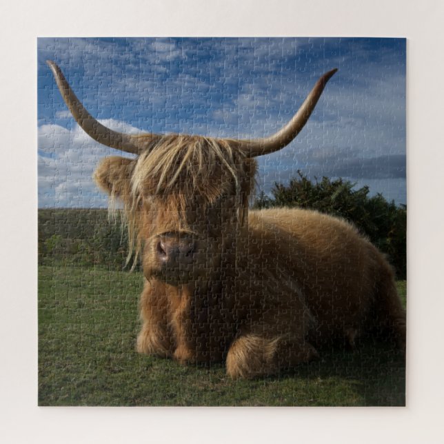 Puzzle Vache robuste de Highland (Vertical)
