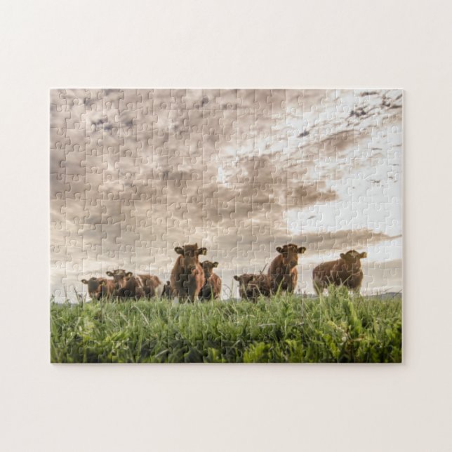 Puzzle Vaches (Horizontal)