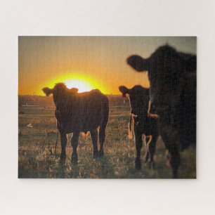 Puzzle Vaches au coucher du soleil