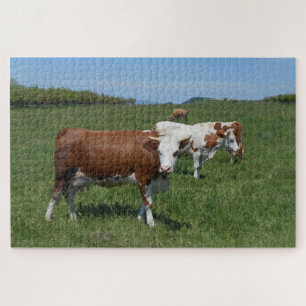 Puzzle Vaches dans le pâturage