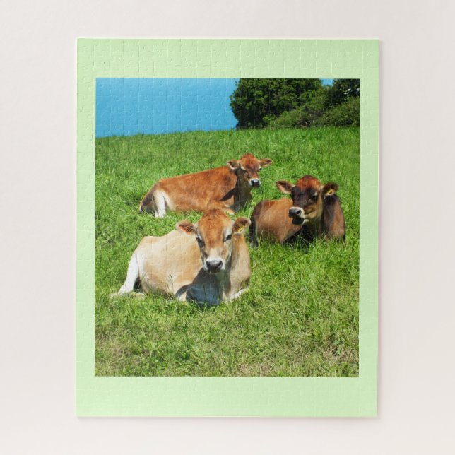 Puzzle Vaches du Jersey (Vertical)