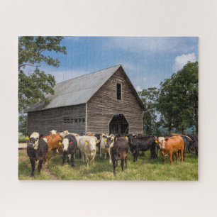 Puzzle vaches par la grange