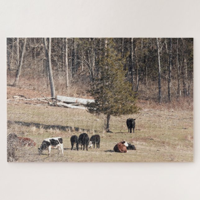 Puzzle Vaches pâturant sur une colline paisible dans le C (Horizontal)