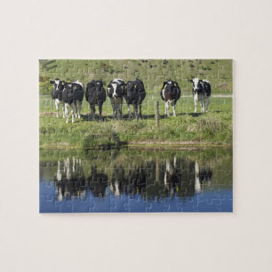 Puzzle Vaches reflétées dans le canal, Henley, plaine de