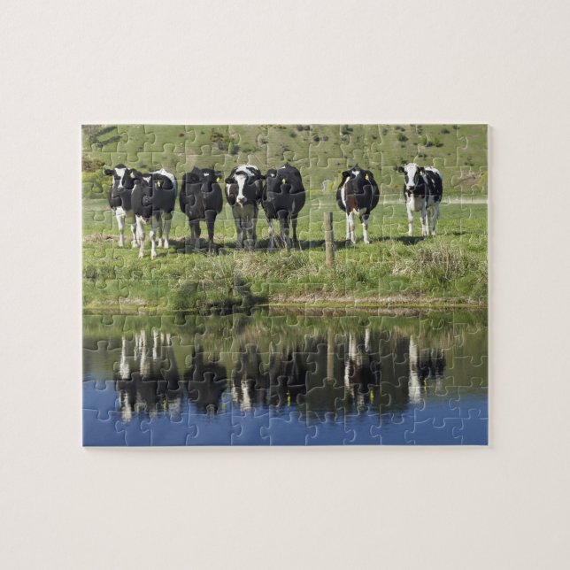 Puzzle Vaches reflétées dans le canal, Henley, plaine de  (Horizontal)
