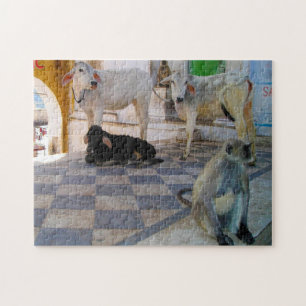 Puzzle Vaches sacrées Inde.