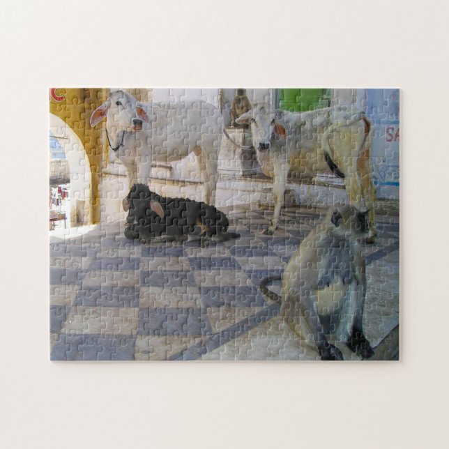 Puzzle Vaches sacrées Inde. (Horizontal)