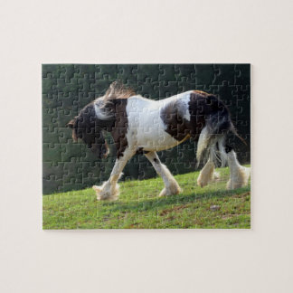 Puzzle Vanner Tsigane