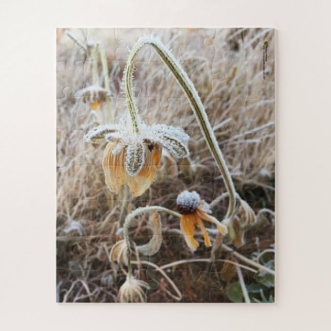Puzzle Vapeur hivernal Rudbeckia en fleurs (Vertical)