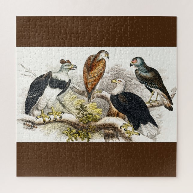 Puzzle vautour (Vertical)