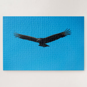 Puzzle Vautour noir