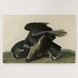Puzzle Vautour noir, des oiseaux d'Amérique d'Audubon