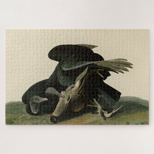 Puzzle Vautour noir, des oiseaux d'Amérique d'Audubon (Horizontal)