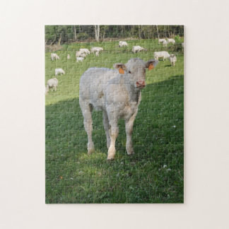 Puzzle Veau blanc dans un domaine