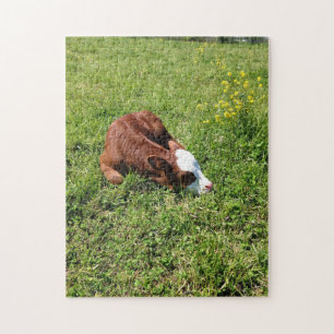 Puzzle Veau de sommeil