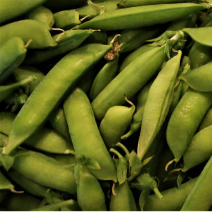 Puzzle Vegan Garden Pea