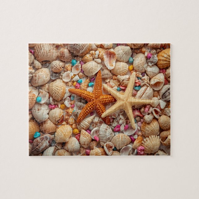 Puzzle Vibrant Seashell Still Life on Teal Background (Horizontal)