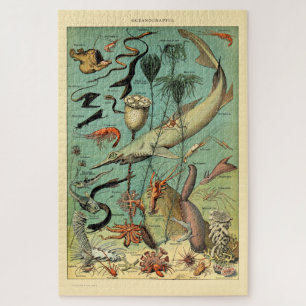 Puzzle Vie aquatique vintage par Adolphe Millot