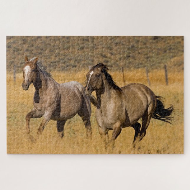Puzzle Vie de ranch au Ponderosa Ranch (Horizontal)