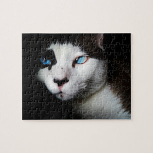 Puzzle Vie pour animaux   Noir Blanc Siamais Chat Blue Ey