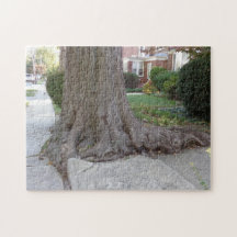 Vieux arbre et racines Damaging Sidewalk JigSaw Pu