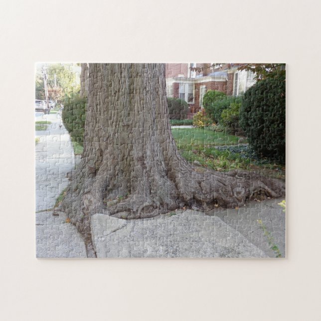 Puzzle Vieux arbre et racines Damaging Sidewalk JigSaw Pu (Horizontal)