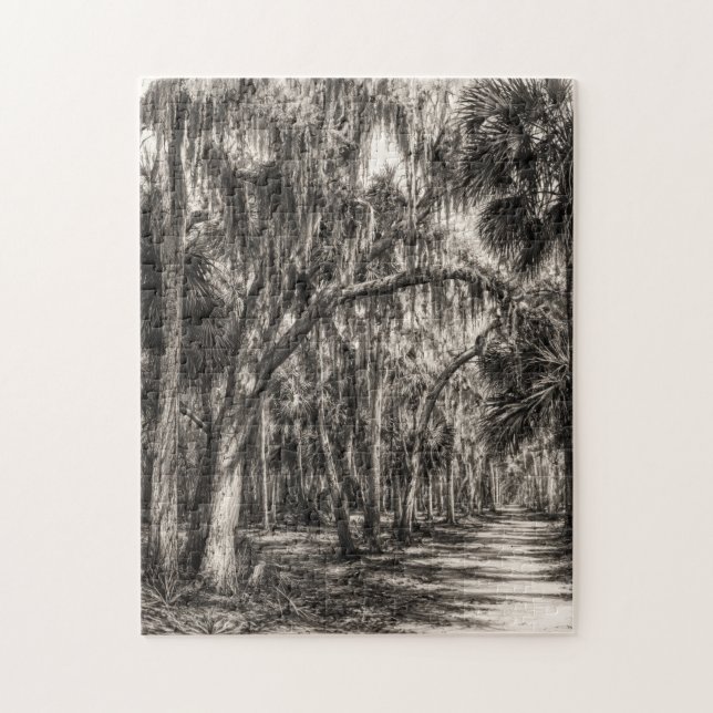 Puzzle Vieux chêne de Floride Graphite Hammock Sketch | R (Vertical)