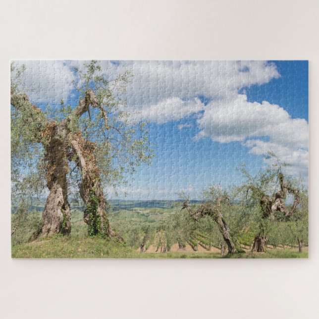 Puzzle Vieux oliviers dans un paysage toscan (Horizontal)