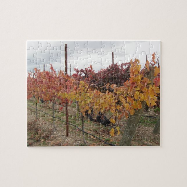Puzzle : Vignoble de la Californie avant récolte (Horizontal)