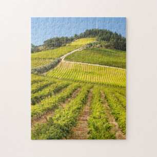 Puzzle Vignoble, Stellenbosch, Cap-Occidental