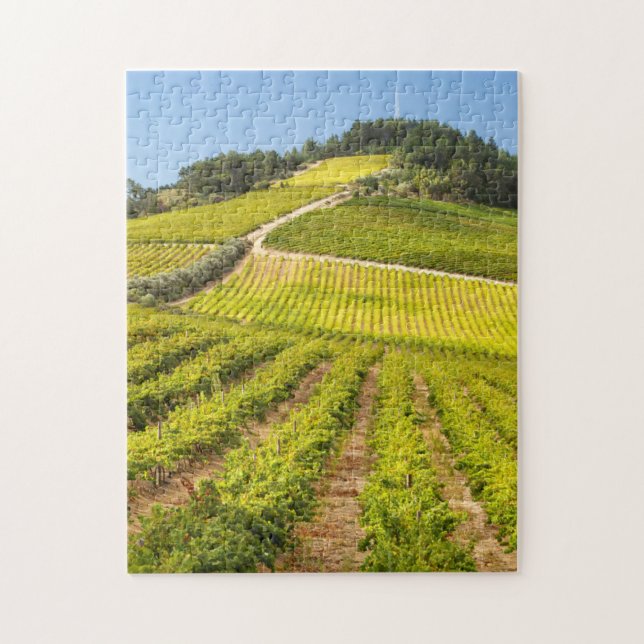 Puzzle Vignoble, Stellenbosch, Western Cape (Vertical)