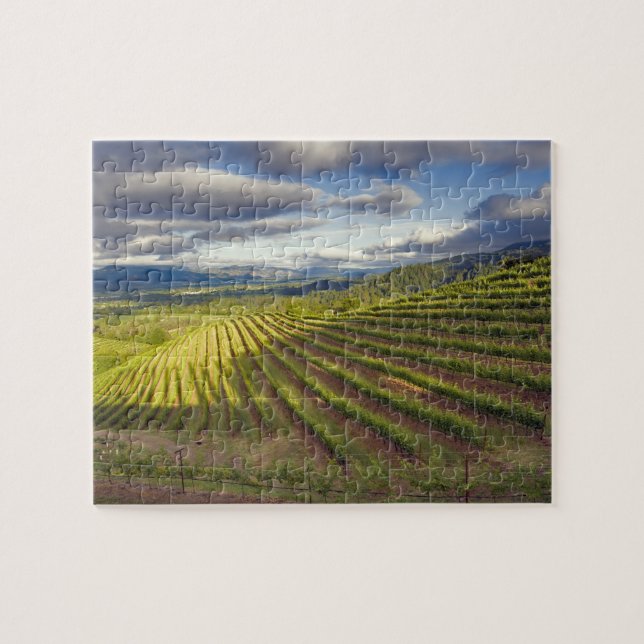 Puzzle Vignoble. Vallée de Napa. Napa. Comté de Napa, (Horizontal)