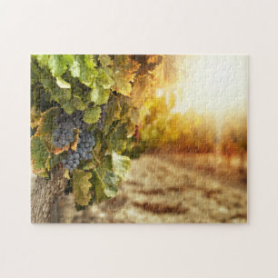 Puzzle Vignobles Au Coucher Du Soleil