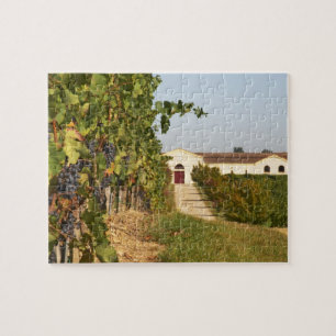 Puzzle Vignobles, vignes de petit verdot et la cave dans