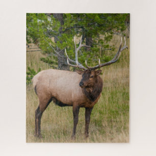Puzzle Village Elk Lake Parc national de Yellowstone Wyom
