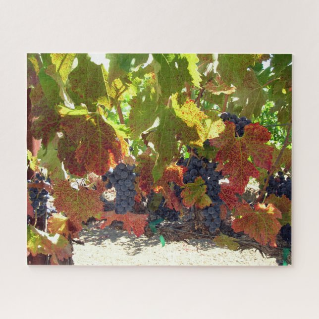 Puzzle - Vins de raisin (Horizontal)