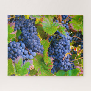 Puzzle Vins de raisins noirs, Vignoble