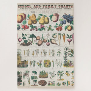 Puzzle Vintage 1890 School Botanical Education Chart