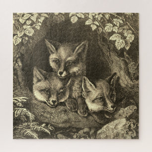 Puzzle Vintage 3 petits renards intelligents antiques pou