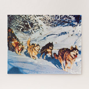 Puzzle Vintage Alaska eskimo Malamute course de traîneau