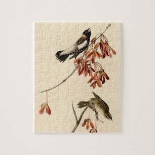 Puzzle Vintage Audubon Bobolink Classic Bird Peinture
