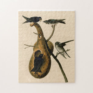 Puzzle Vintage Audubon Purple Martin Bird Peinture Cadeau