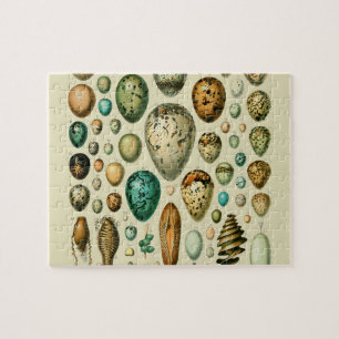 Puzzle Vintage Bird Eggs French Fish Egg